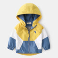 Chaqueta Infantil Ligera con Capucha para Niño
